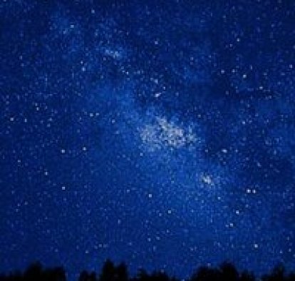 Катя Трон